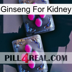 Ginseng For Kidney 01